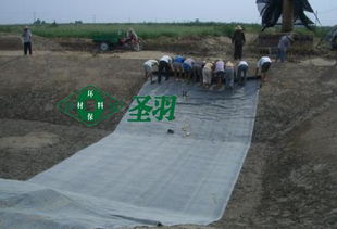供应地下室工程防渗 圣羽GCL膨润土防水毯